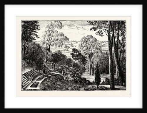 The Duchess's Garden, Belvoir Castle by Anonymous