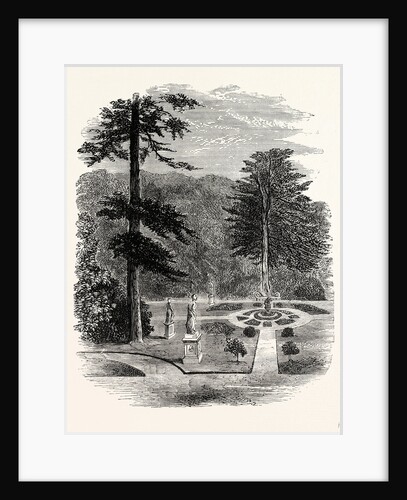 The Statue Garden, Belvoir Castle by Anonymous
