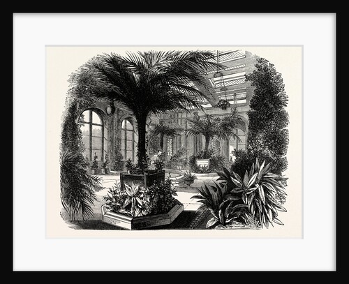 The Private Conservatory, Trentham by Anonymous