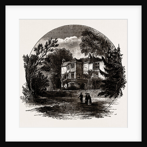 Little Strawberry Hill by Anonymous