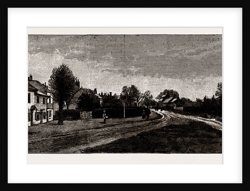 Hadley Green Site of The Battle of Barnet by Anonymous