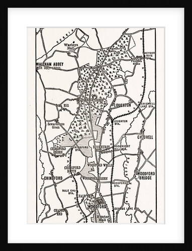 Map Up Epping Forest by Anonymous