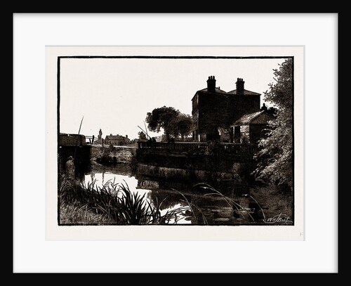 Cook's Ferry by Anonymous