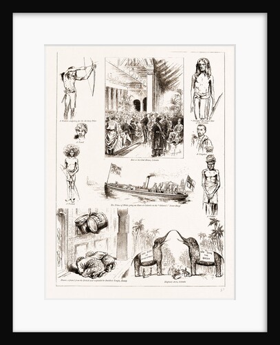 The Prince Of Wales In Ceylon, Sri Lanka by Anonymous