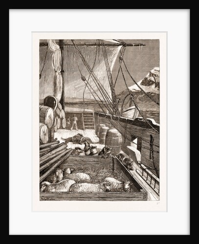 The Arctic Expedition: Esquimaux Dogs On The Deck Of The alert, 1876 by Anonymous