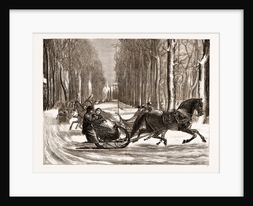Sleighing At The Hague by Anonymous
