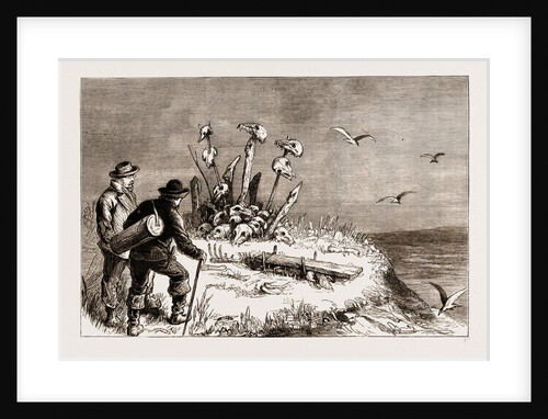 The Swedish Arctic Expedition: A Samoiede Sacrificial Altar, 1876 by Anonymous