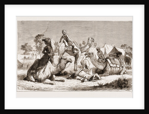 India, Camel Riders Of A Native Cavalry Regiment Preparing For A March by Anonymous