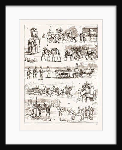 The Sham Fight Before The Prince Of Wales At Delhi, India by Anonymous