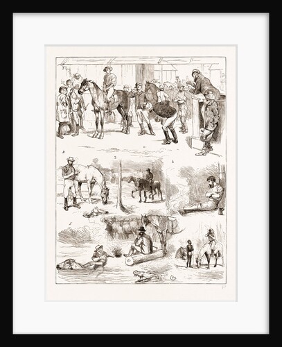 Scenes Of Australian Life, 1876 by Anonymous