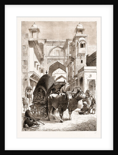 The Prince Of Wales In India: A Rajpoot Bullock Carriage, 1876 by Anonymous
