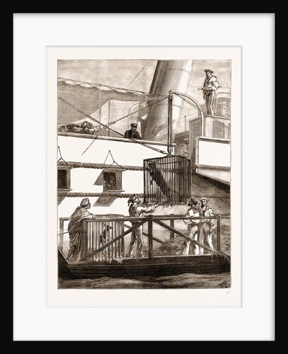 Some Of The Prince Of Wales's Presents: Shipping Wild Animals On Board The osborne At Calcutta, India by Anonymous