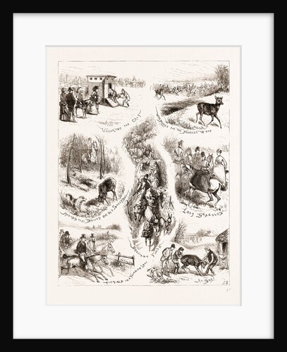 A Day With An Untried Deer by Anonymous