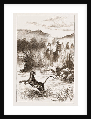 Shooting A Tiger From The River Bank by Anonymous