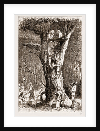 Wild Elephants Expected, 1876 by Anonymous