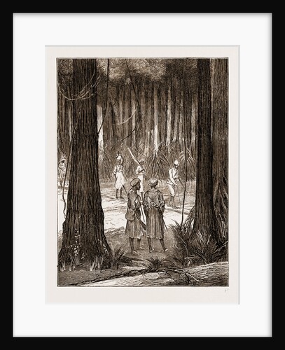 Crossing The Luwati, Africa by Anonymous