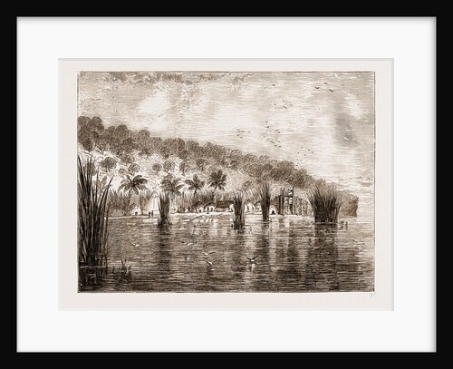 Camp On Lake Tanganyika, Africa by Anonymous