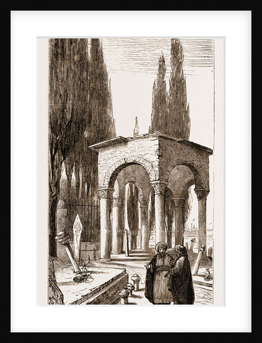 Tomb Of The Favourite Horse Of Sultan Mahmoud At The Turkish Cemetery At Scutari, Istanbul by Anonymous