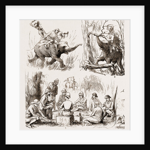 Reminiscences Of The Nepaul Terai by Anonymous
