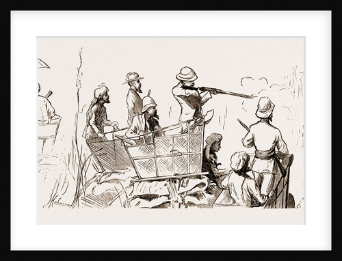 Reminiscences Of The Nepaul Terai, 1876: 5. News From Home. 6. The Prince's Last Tiger. by Anonymous