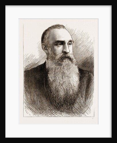 Professor T.c. Archer by Anonymous