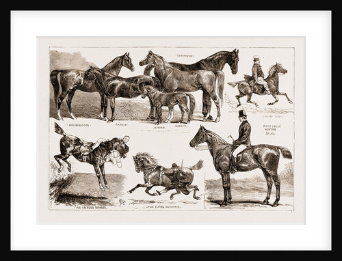The Horse Show At The Agricultural Hall, Islington by Anonymous
