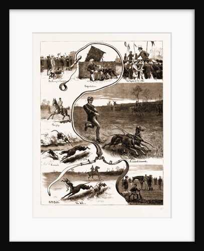 The Dog Derby: The Trials For The Waterloo Cup, 1883 by Anonymous
