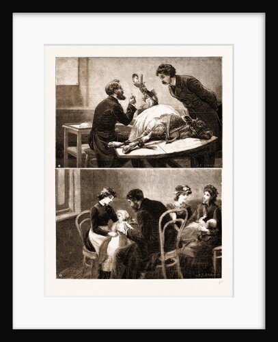 Vaccination From The Calf by Anonymous