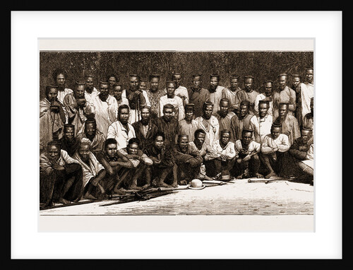 The Restoration Of Cetawayo: Chief Dunn's Men: Part Of The Zulu Deputation Of 1,600 Who Came In To Ask For The Return Of The King, 1883 by Anonymous