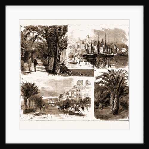 The Visit Of The Prince Of Wales To Cannes And Nice, France by Anonymous