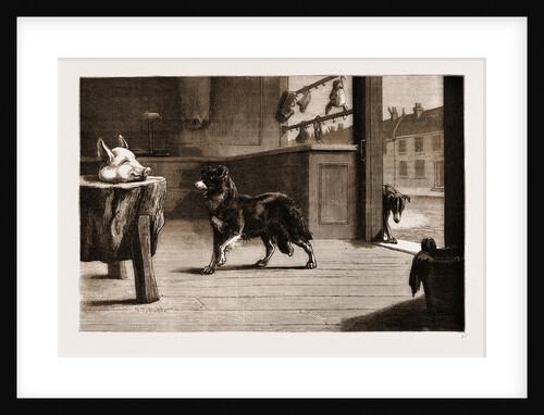 A corner In Pork: The Operators by Anonymous