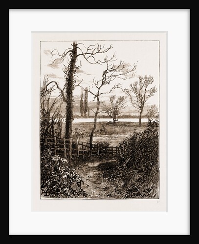 The Attack On Lady Florence Dixie Near Windsor, UK by Anonymous