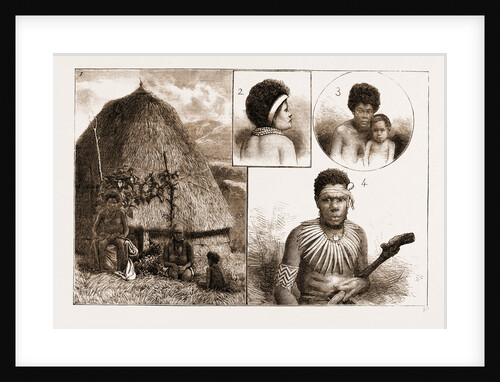 A Cruise Of H.M.S. Diamond Amongst The Solomon Islands, 1883 by Anonymous