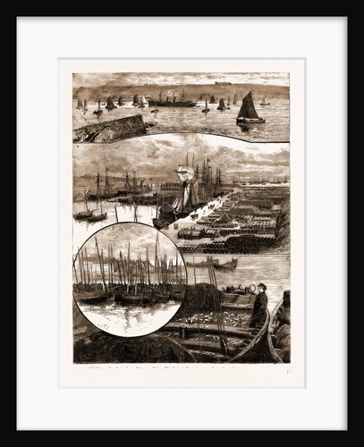 The Herring Fishery At Caithness, UK by Anonymous