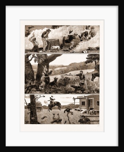 Incidents In A Settler's Life In Australia, 1883 by Anonymous