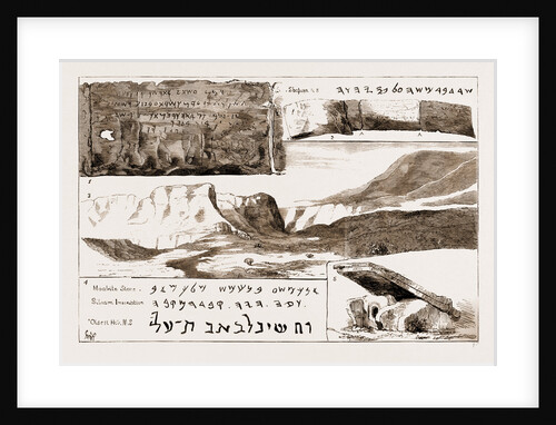 The Shapira Manuscript Of Deuteronomy by Anonymous