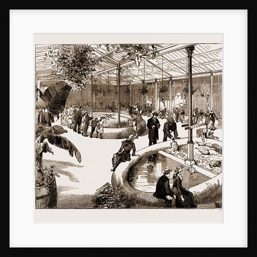 The New Reptile House At The Zoological Gardens, UK, 1883 by Anonymous