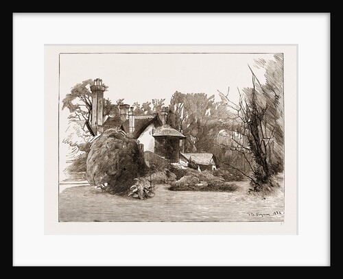 A Sketch In Professor Owen's Garden At Sheen, Near Richmond, London, UK, 1883 by Anonymous