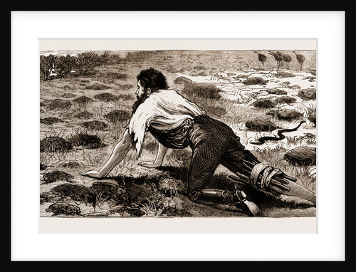 Thrown From His Horse, A Disabled Stockman In The Bush, New South Wales, Australia, 1883 by Anonymous
