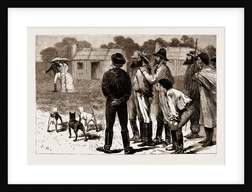 Our First Lady Visitors, New South Wales, Australia, 1883 by Anonymous