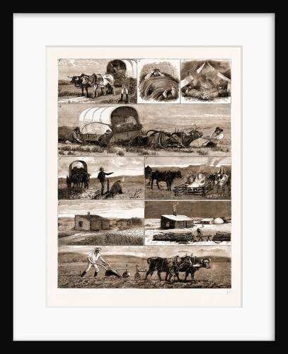Scenes From An Emigrant's Life In Manitoba, Canada, 1883 by Anonymous