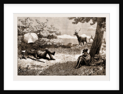 Stag-driving In Mauritius: A Lost Opportunity, 1883 by Anonymous