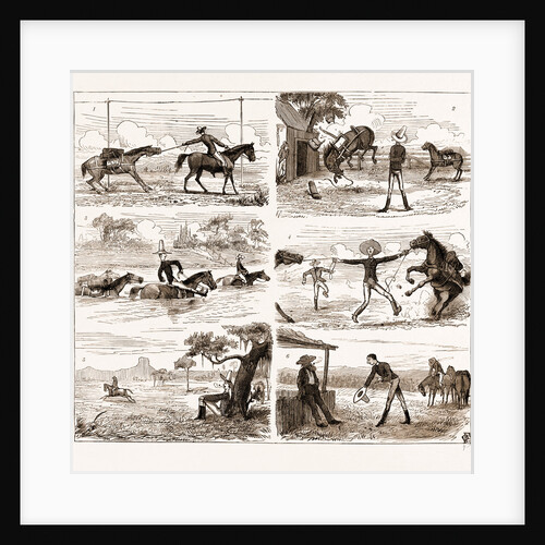 An Overland Journey From Queensland To Sydney With A New Chum, Australia, 1883 by Anonymous
