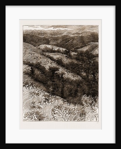Congo Scenery On The Road To Isangila, Africa, 1883 by Anonymous