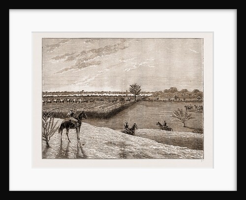 The Expedition Into Kurdufan, Troops About To Break Camp At Sunrise, Sudan, 1883 by Anonymous