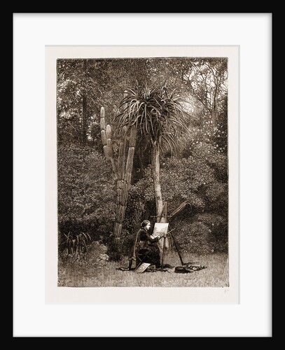 Miss North, The Floral Artist, At Work At Grahamstown, South Africa, 1883 by Anonymous