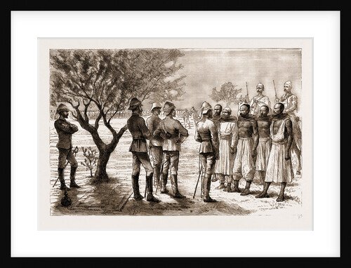 The Rebellion In The Sudan, 1883 by Anonymous