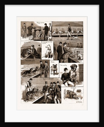 Notes At A Dog Show, 1883 by Anonymous