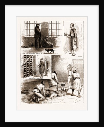 Scenes From The Egyptian Prisons, Cairo, 1883; The Women's Ward, In For Life; A Warder, A Friendly Discussion, Extorting Evidence by Anonymous