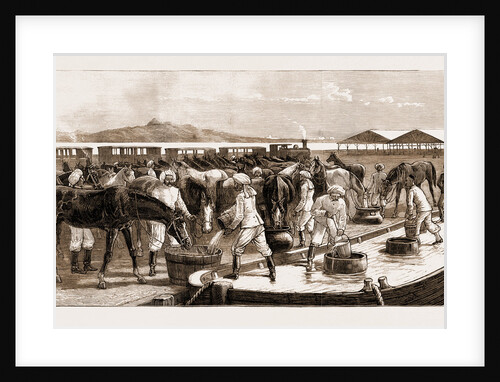 The Rebellion In The Sudan, With Baker Pasha's Reinforcements, 1883 by Anonymous